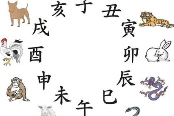 狗年出生的孩子命运如何？揭秘狗年阴历的生肖特点！
