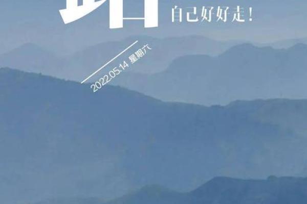 1981年5月14日出生是怎样的命运与人生轨迹？