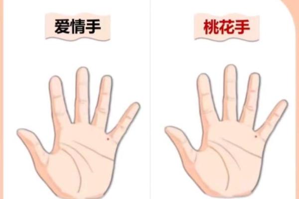 掌中红胎记的命运解析：你的手掌在暗示什么？