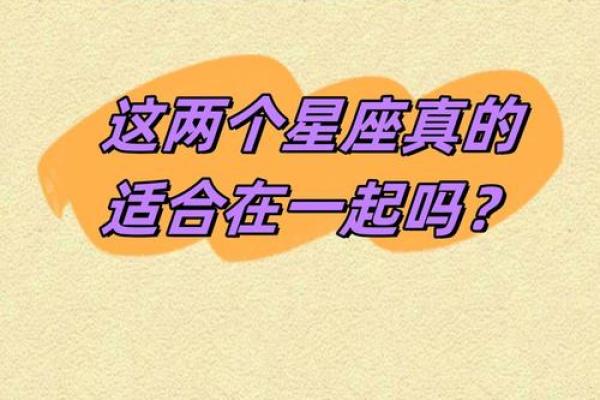 追寻移动狐狸的命运：探索其独特的能量与风貌