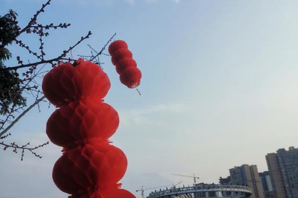 揭秘牛尾虎头命的命理特征与补救方法，让你化险为夷！