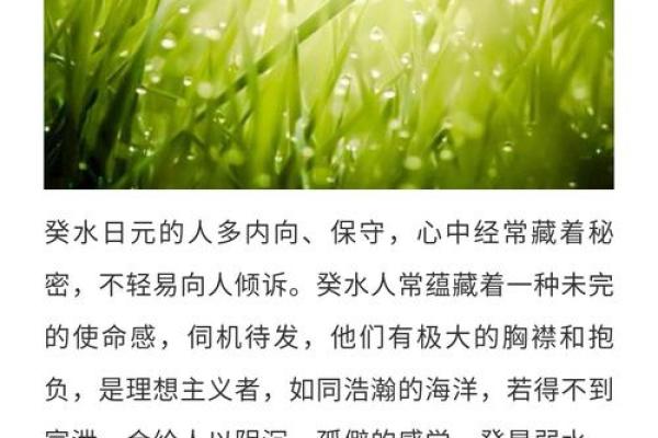 山涧水命：如何选择适合的行业，实现人生理想