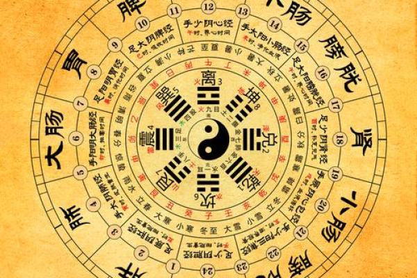 如何通过五行星相帮助你找到命理归属与人生方向