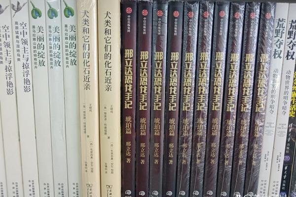 有惊无险：命理解读人生中的波折与坚韧