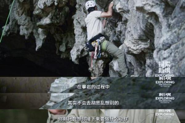 探寻命格中的高贵：人生的价值与意义之道