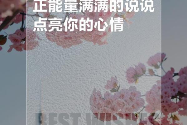 2023年14岁少年命运解析：探寻未来之路和心灵成长