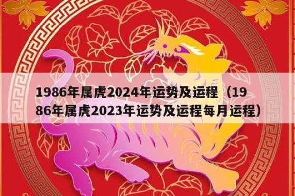 2022年属虎的命运解析：如何抓住机会，实现人生的转折