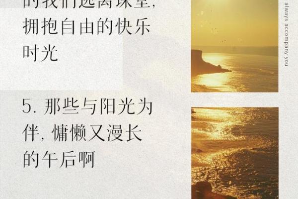 美好时光的瞬间：记录生活中的每个感动与欢笑