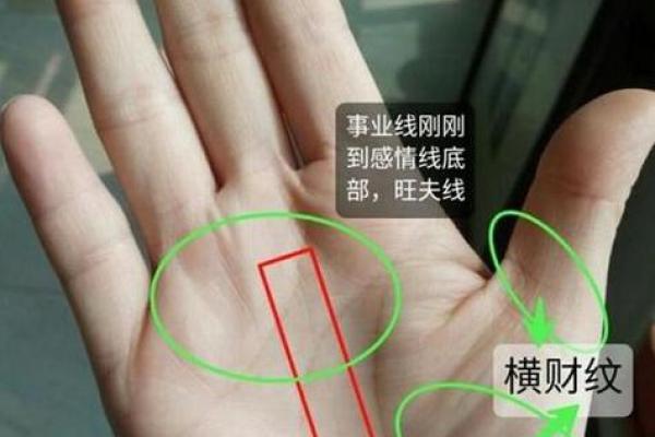 探秘手相学：揭示双重命格的神秘奥义