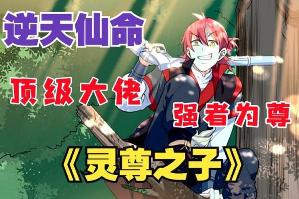 仙命决灵力的深度解析：从修炼到实战的全方位影响