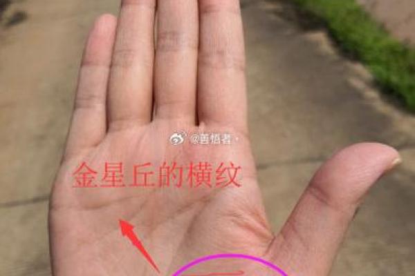探秘手相学：揭示双重命格的神秘奥义