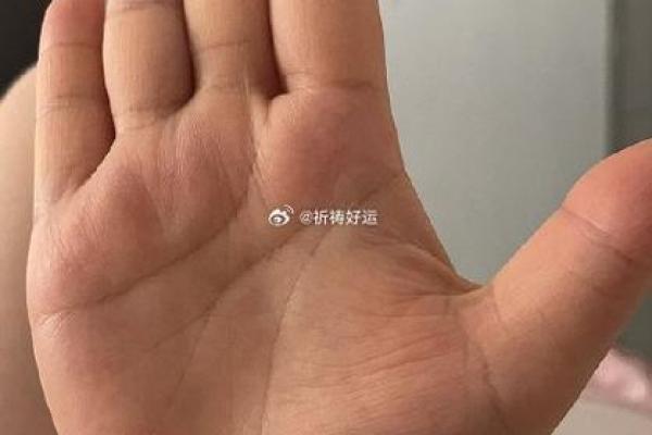 庚午戊寅乙巳的命理解析：揭开五行中隐藏的财富与命运之谜
