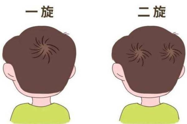 头顶凸起的男人：命运与性格的深度解析