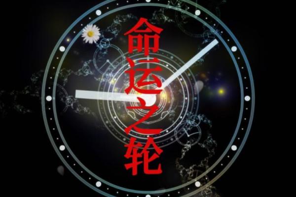 揭示2026年命运之轮：解码命理学中的五行属性与人生走向
