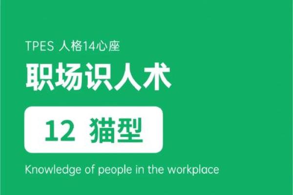 乾命的人适合的职业选择：开启人生的新篇章