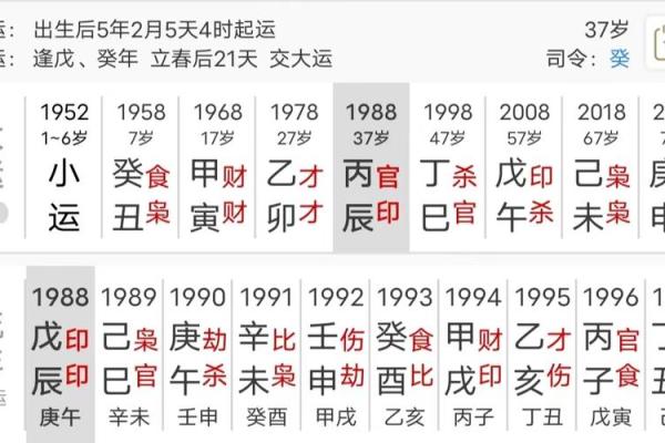 辛金命适合的职业选择与发展建议