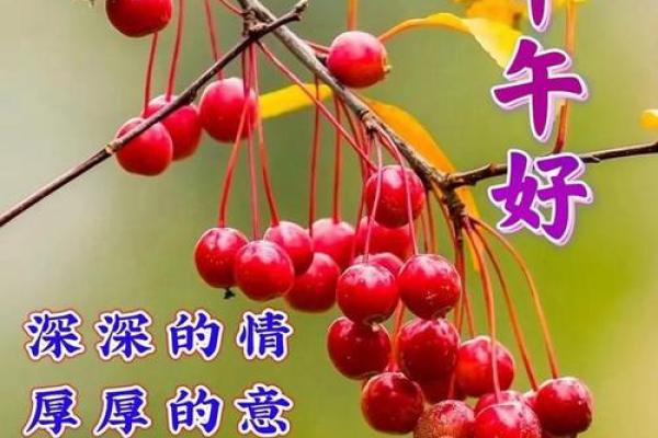 命特别好的人生体验，享受幸福与顺心的每一天