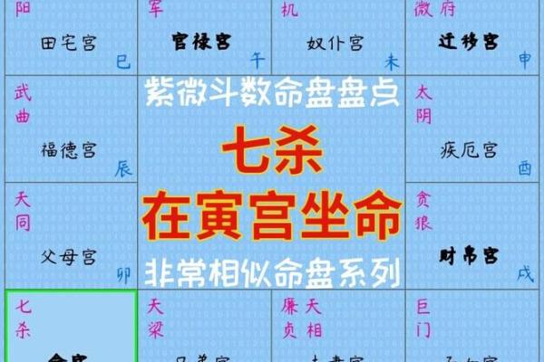 探寻命理之道：哪些星盘最适合研究命理学？