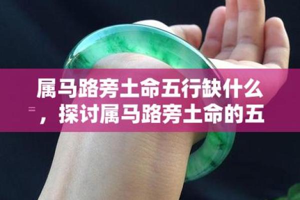 土命生意指南：路旁土命者的致富之道
