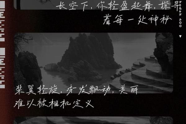 探秘顶级凤凰命：揭开命运中的神秘面纱