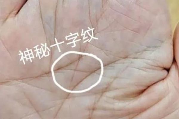 掌心纹路与命运深度解析：如何看懂你的命短暗示