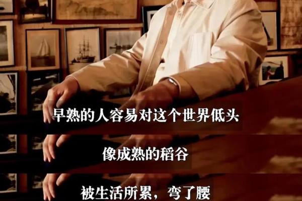 揭开金马命的吉利数字：让你的人生更添好运与智慧！