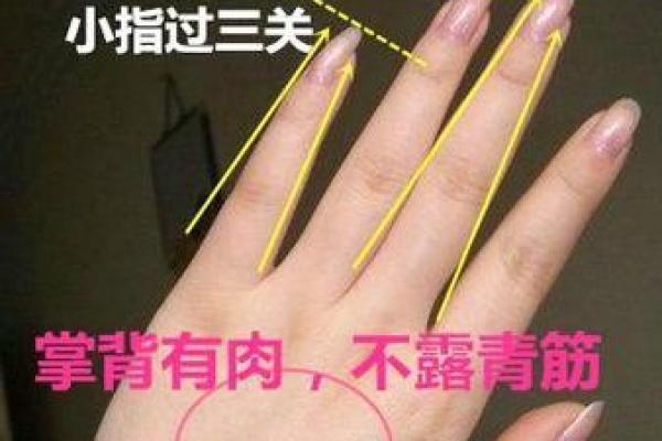 嘴角青筋与命理：细看生活中隐秘的征兆与运势的脉动