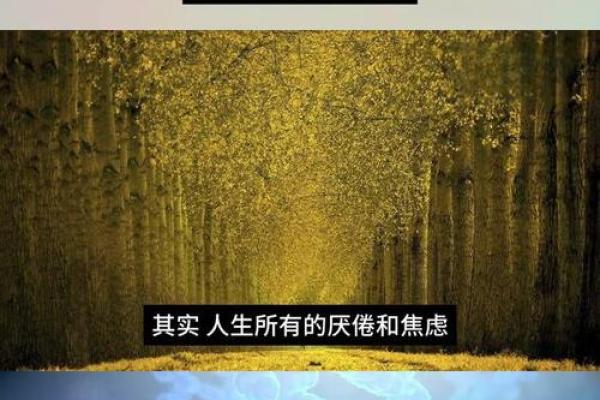 2001年出生的蛇，揭开命运之谜的密码与启示