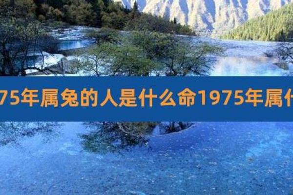 75年出生的女性命运解析：智慧与坚韧的结合