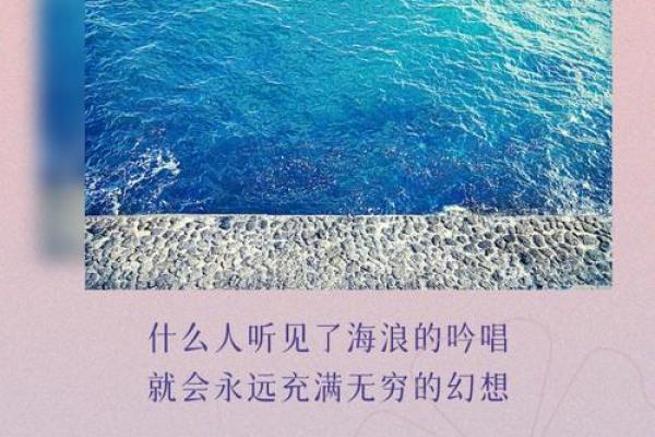 耳朵里的秘密：听见灵魂的花朵与内心的声音