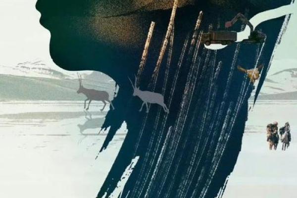 《相信这是一种命运的交织，让生命绽放独特的精彩》