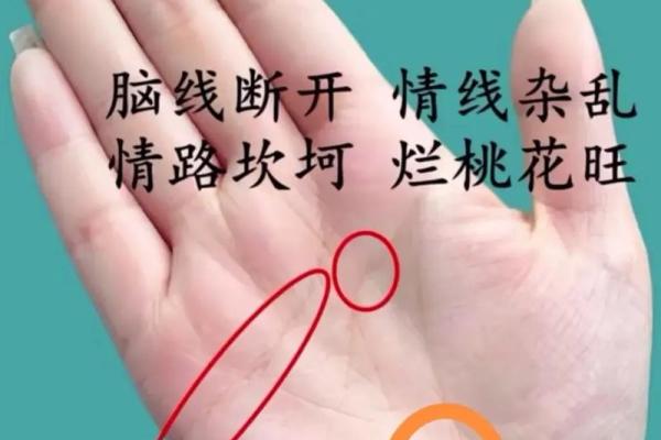 从手纹看命运：揭秘不同手纹背后的命理秘密