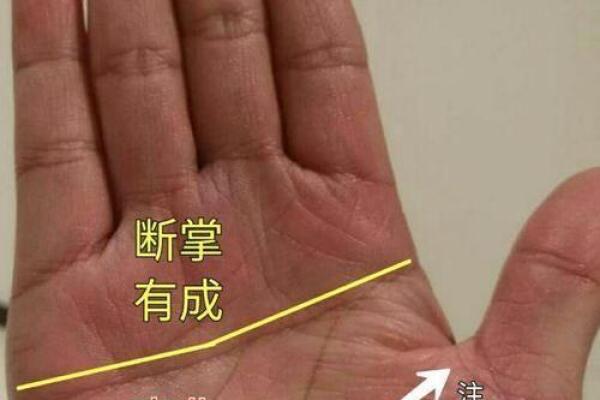 从手纹看命运：揭秘不同手纹背后的命理秘密