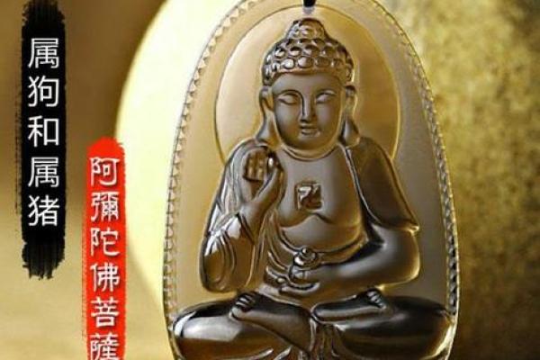 1983年水猪命的性格与运势解析，共享生活智慧与心理特质