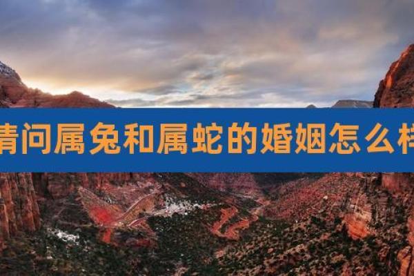 男命婚姻树：解读婚姻幸福的秘密与象征
