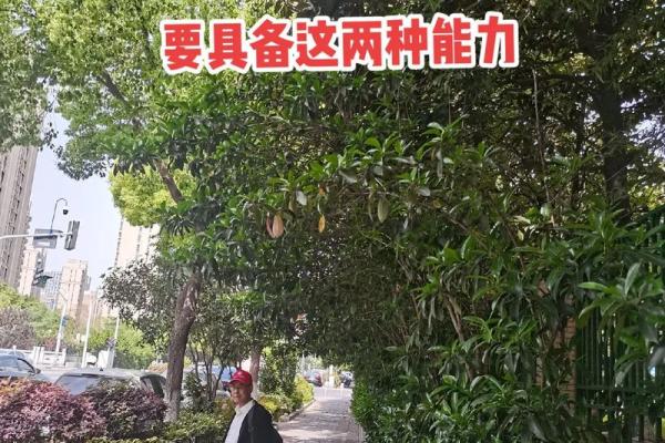 随缘崇命：生活中的自在与智慧