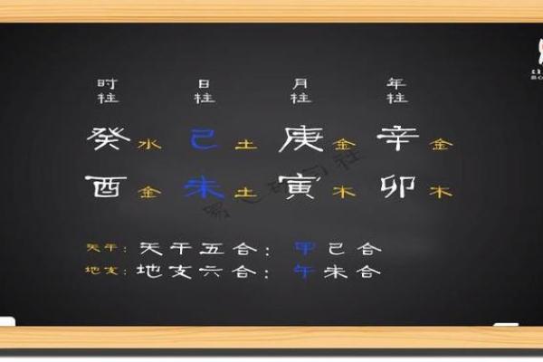 丙寅年癸巳月的命理解析与运势展望