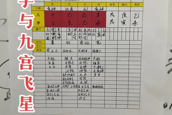 丙寅年癸巳月的命理解析与运势展望