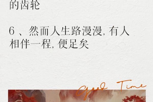 命运的馈赠：我们每个人都有自己的路途和故事