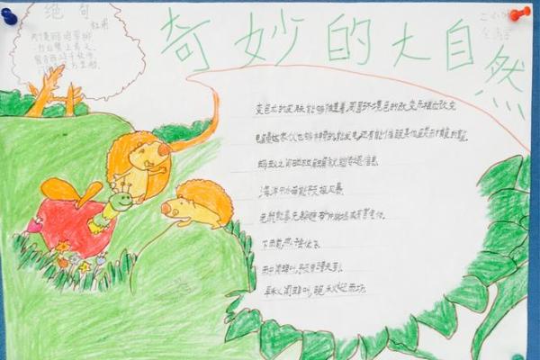 探索与发现：我心中的自然之美与奇妙世界