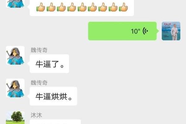 探秘双童子命：命理中的极品传奇与等级解析