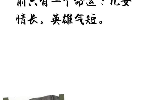 金钱与命运：如何理解金钱在生活中的价值与影响