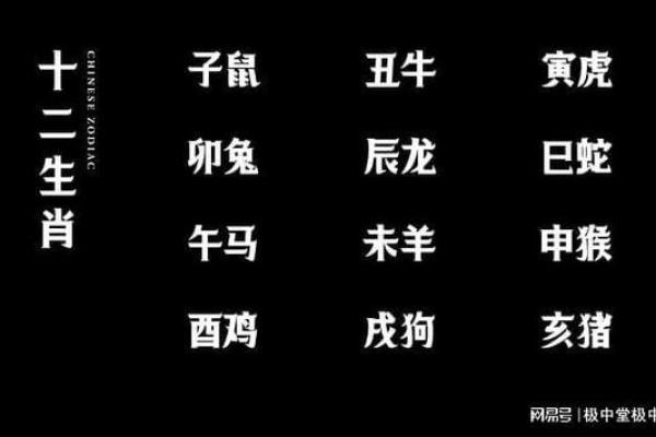 属鸡金命者适合发展的行业与职业方向探析