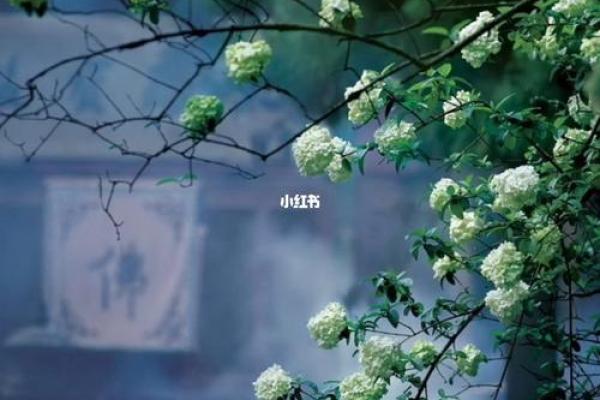 命理中的大起大落：人生的轮回与成长之道