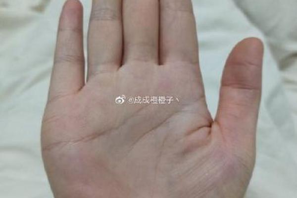 解析断掌纹：揭开女性命运之谜的手相奥秘