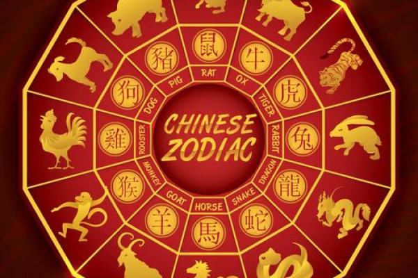 水命人的旺用颜色解析，助您好运连连！