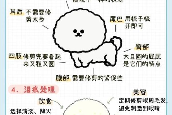 地包天男人到底是什么命？揭秘其性格与命运关联
