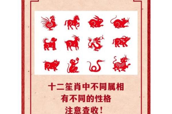 揭秘十二生肖命图：如何解读你的命运与性格特征