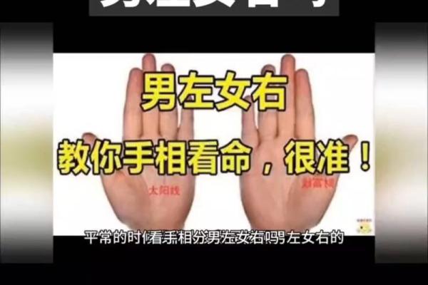 手相揭秘：掌中之义揭示你与众不同的命运