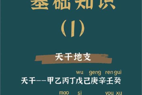 揭秘天干克地支：解读命运的奥秘与启示